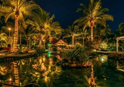 東南植物楽園「沖縄南国イルミネーション」開催中