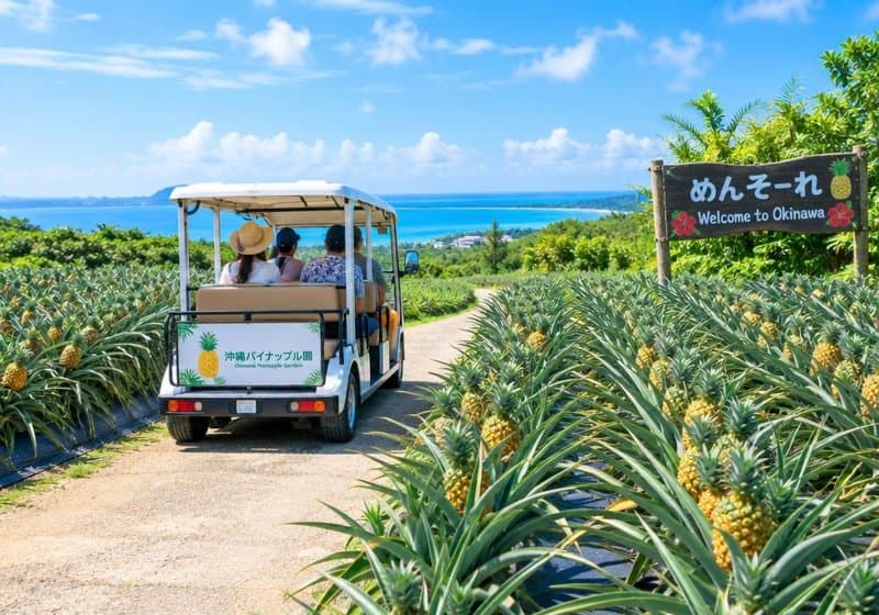 ナゴパイナップルパーク Okinawa theme park